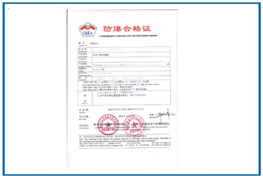 Consultation unit for handling Class I explosion-proof certificate